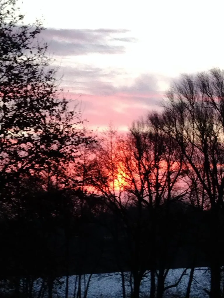 Такое разное небо