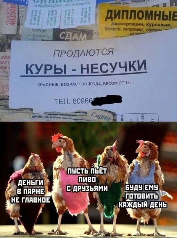 Посмеялся сам - поделись с другом!!!