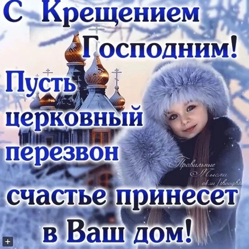 Tapтaлeтки & Ко