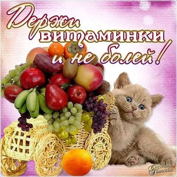 Цветы на моем участке (2022 г.)