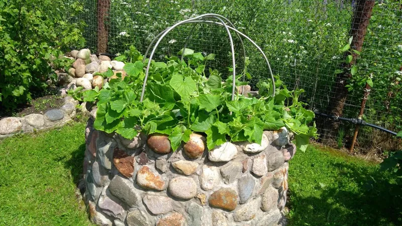 Загородная жизнь - обустройство на земле во всем разнообразии
