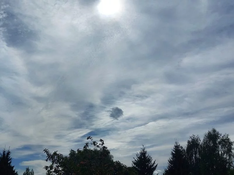 Такое разное небо