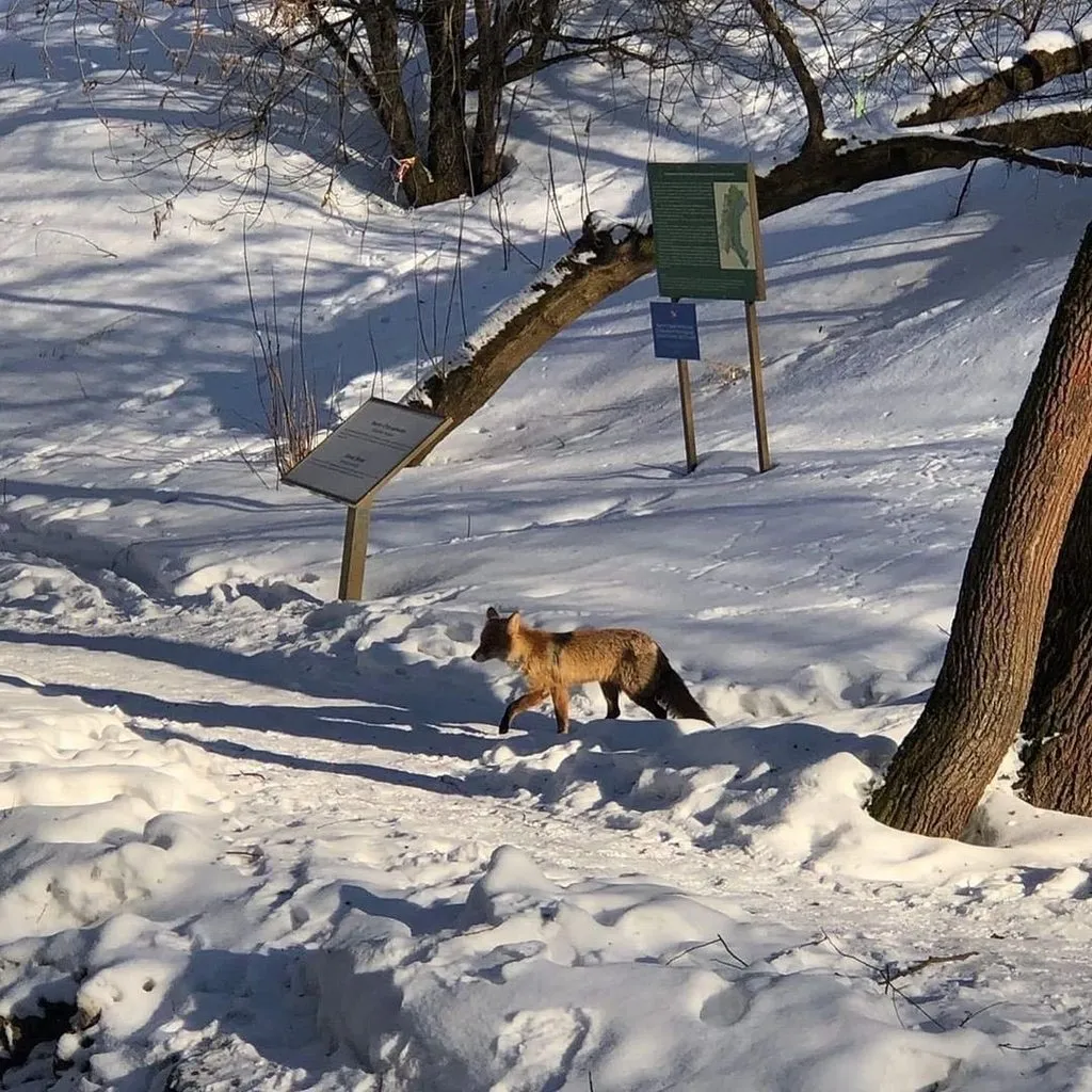 Коломенское