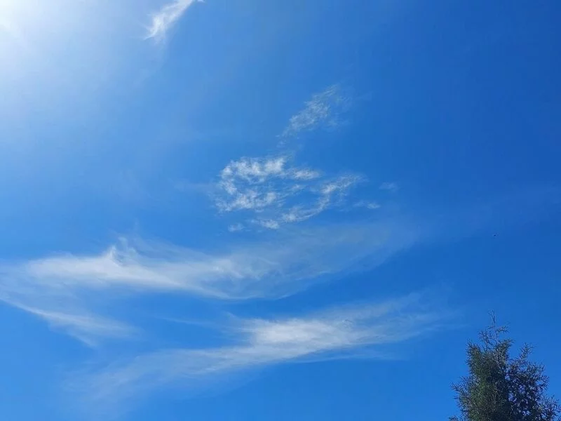 Такое разное небо