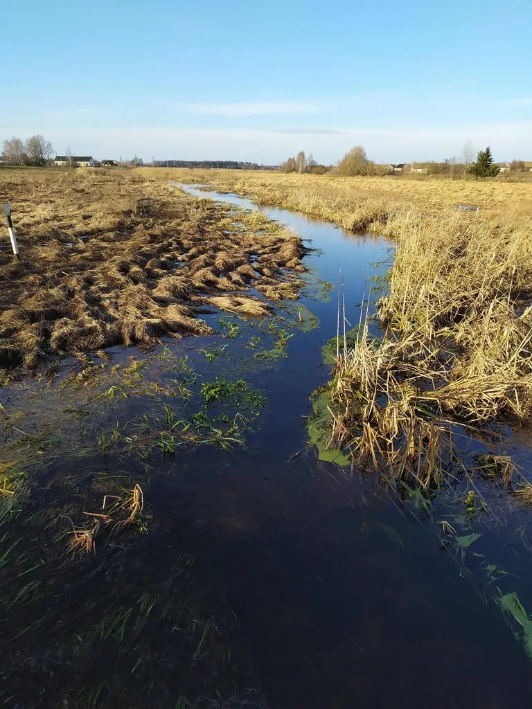 В гостях у Батьки