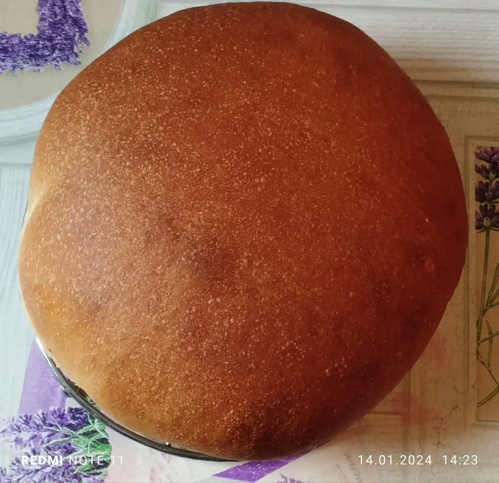 Tapтaлeтки & Ко