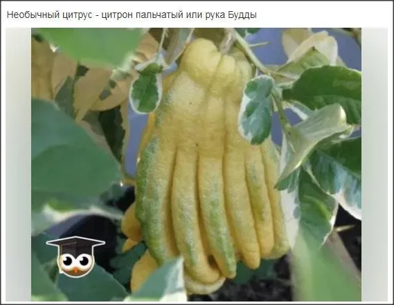 Это интересно!