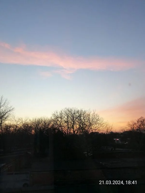 Чайная беседка