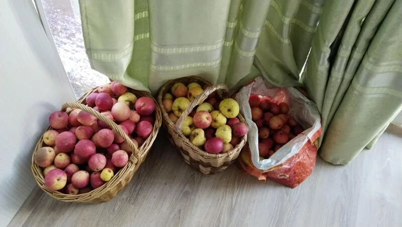 Белёвская пастила на эритрите