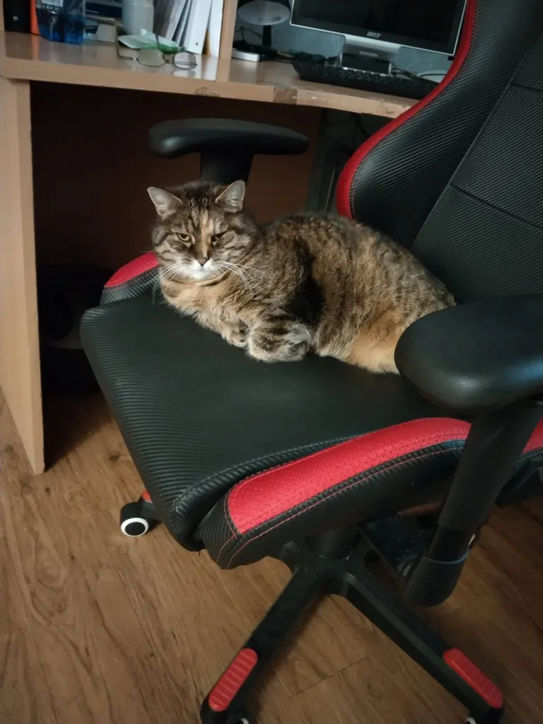 Чайная беседка