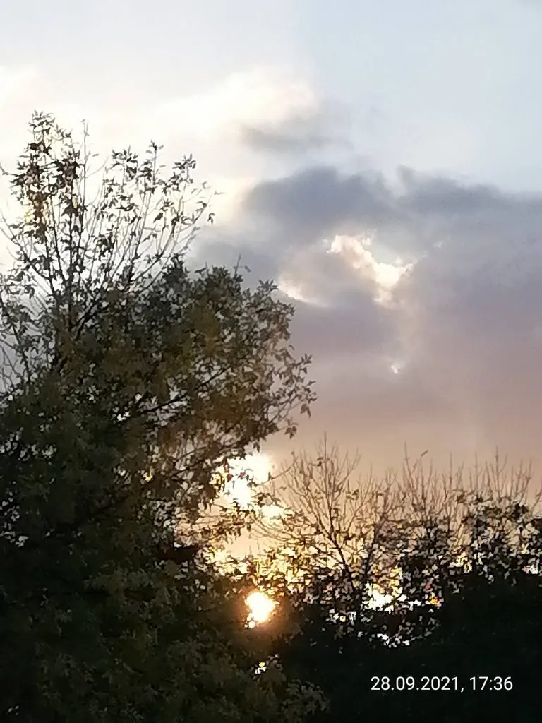 Чайная беседка