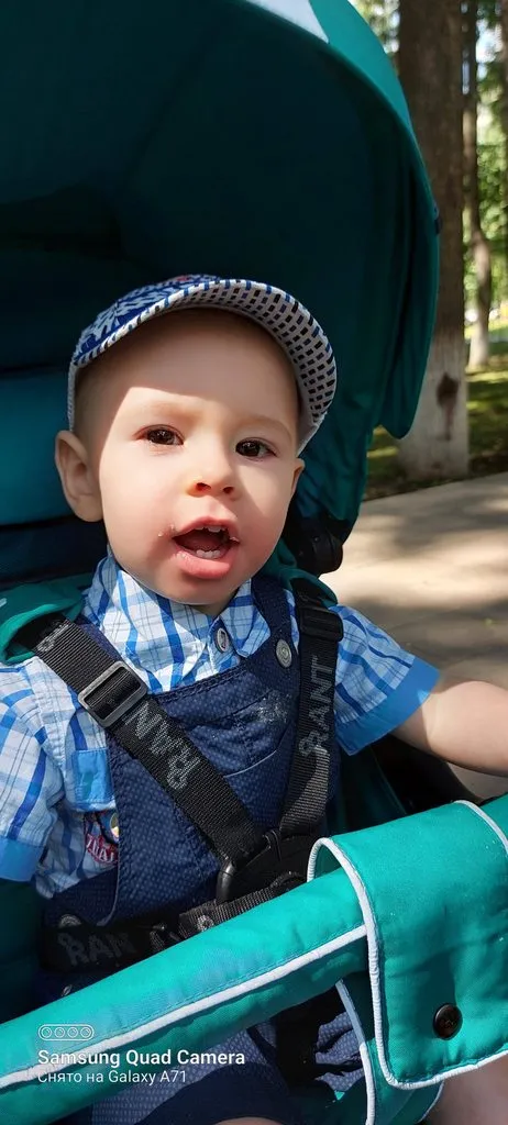 Tapтaлeтки & Ко