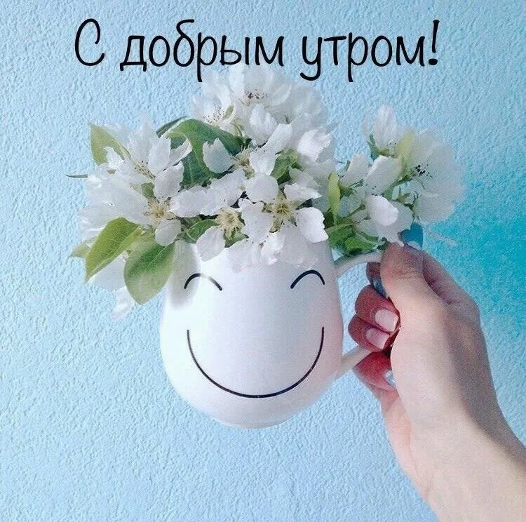 Кафе «У пани Сони»