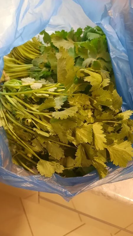 Где, что и когда купить в Москве