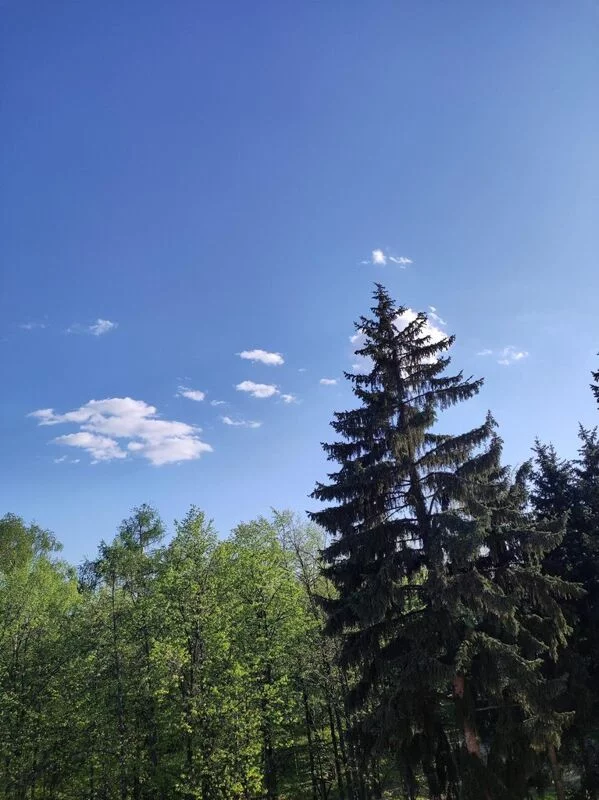 Такое разное небо