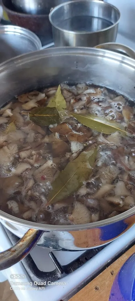 Чайная беседка