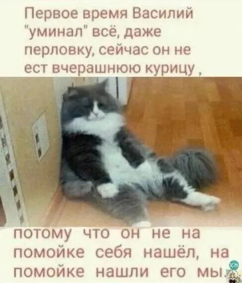 Посмеялся сам - поделись с другом!!!