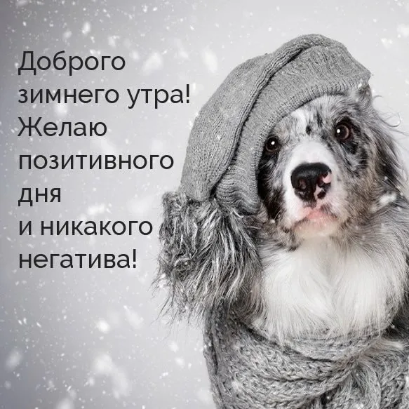 Кафе «У пани Сони»