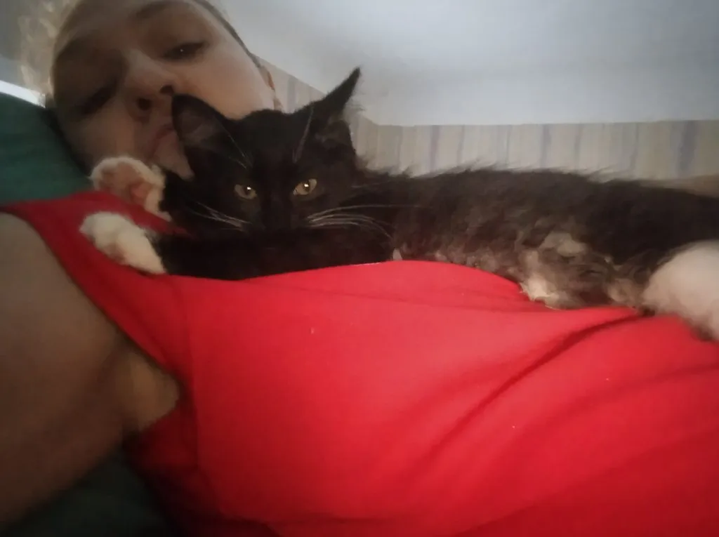 Помогите найти котятам дом!
