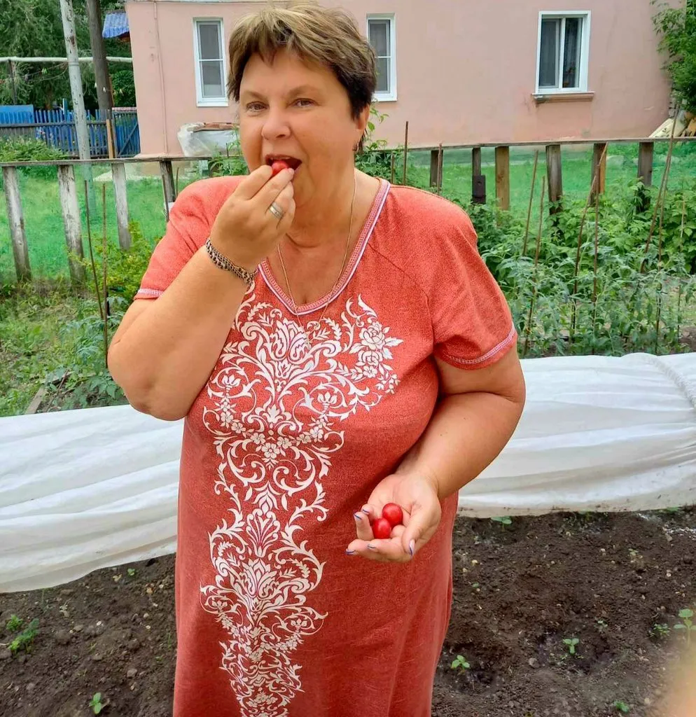 Чайная беседка