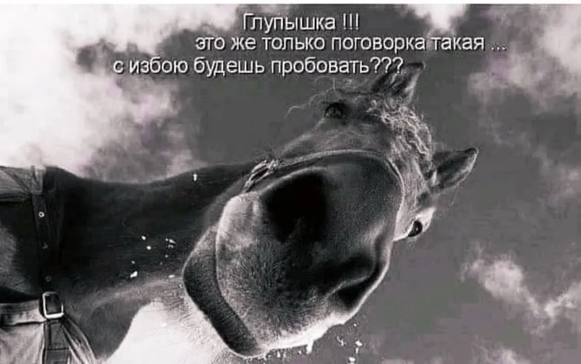 Посмеялся сам - поделись с другом!!!