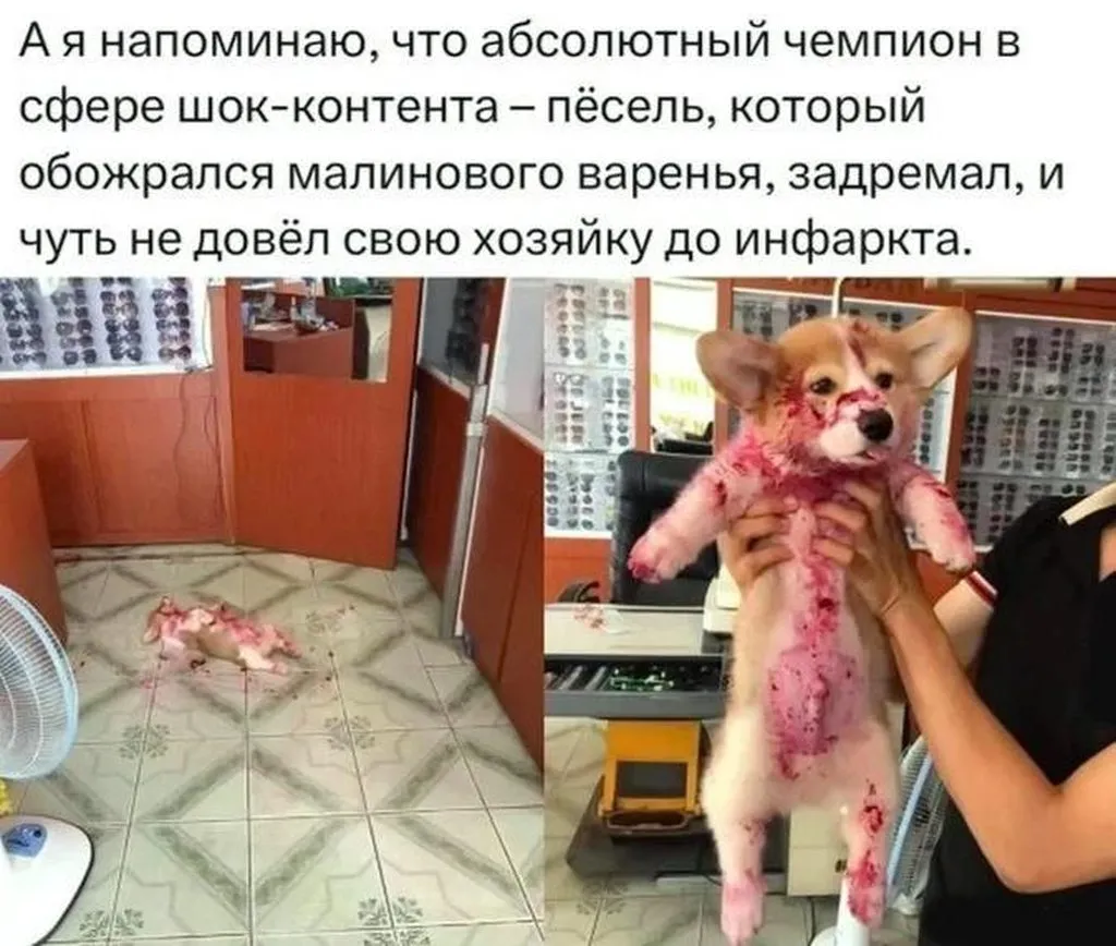 Посмеялся сам - поделись с другом!!!