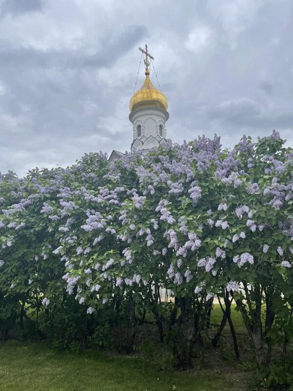 Чайная беседка