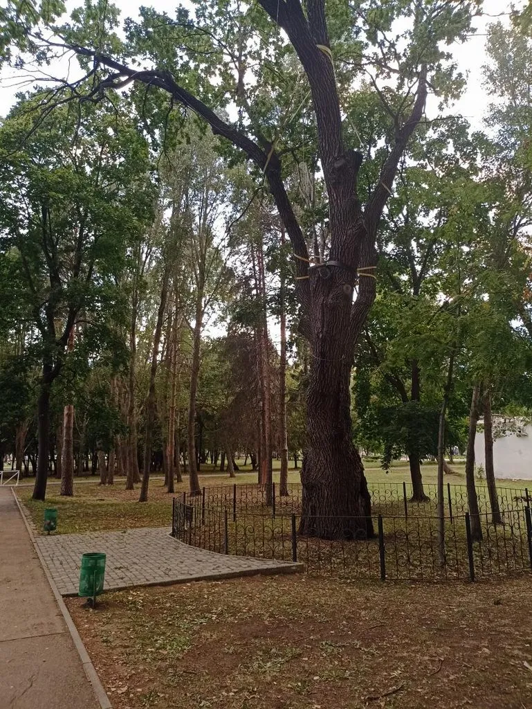       Ах, Самара - городок... 