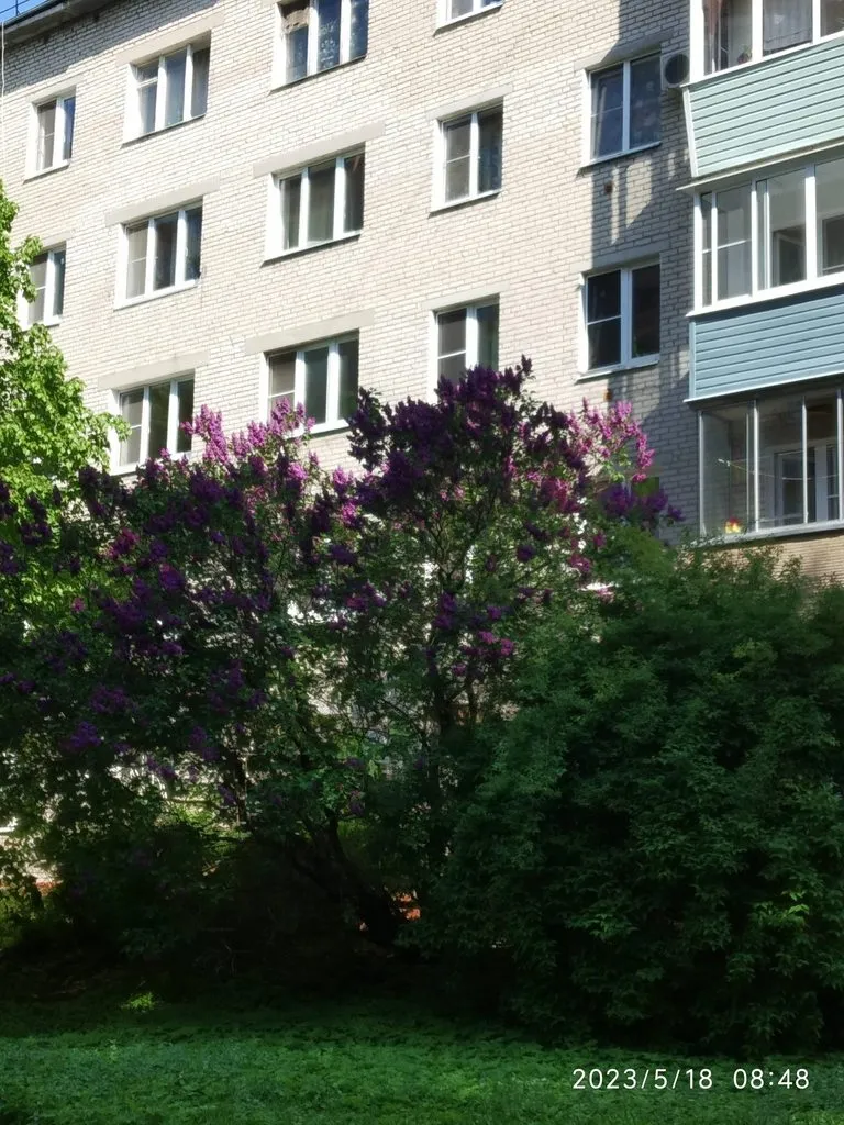 Чайная беседка