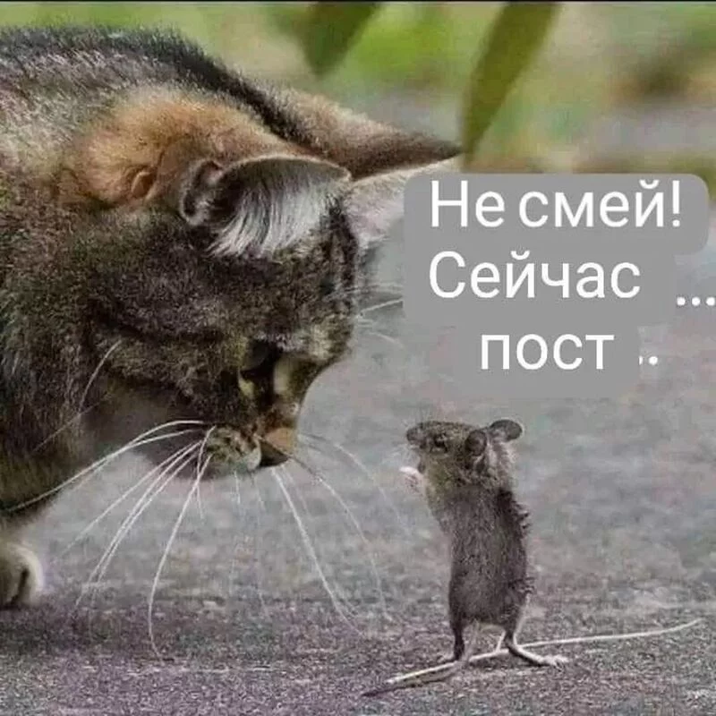 Посмеялся сам - поделись с другом!!!