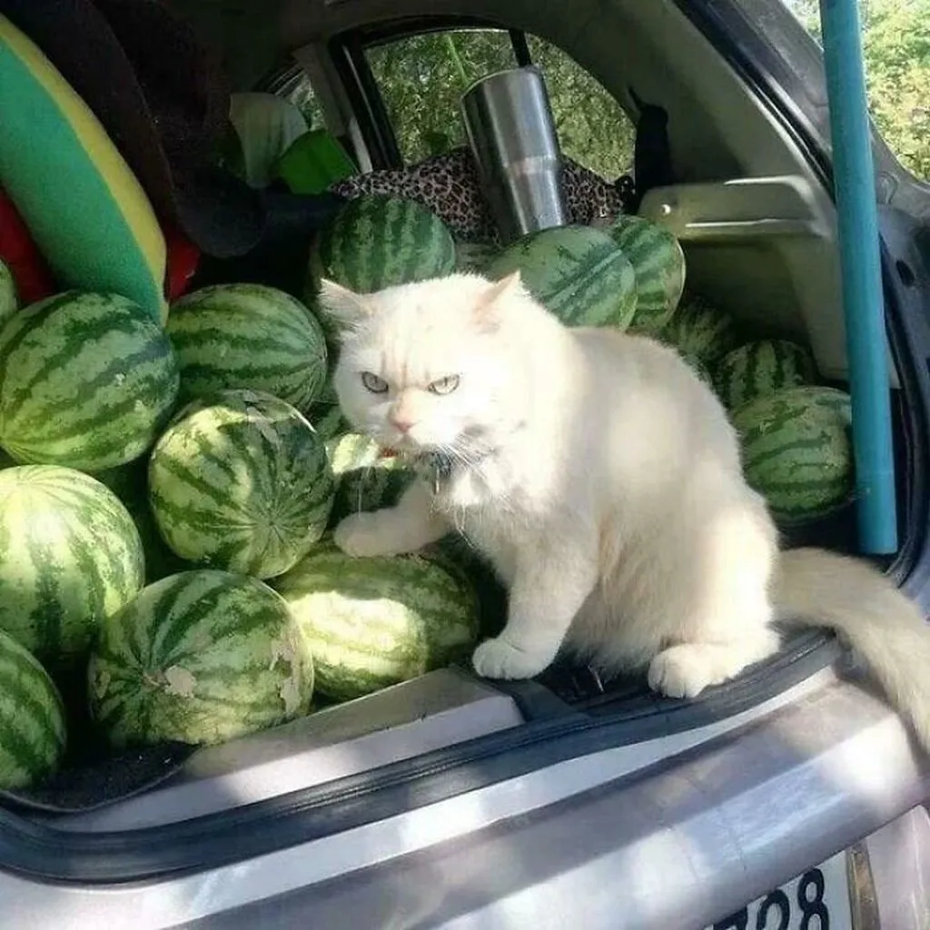 Посмеялся сам - поделись с другом!!!
