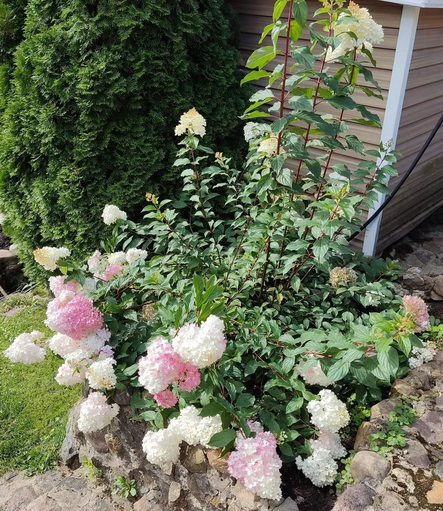 Чайная беседка