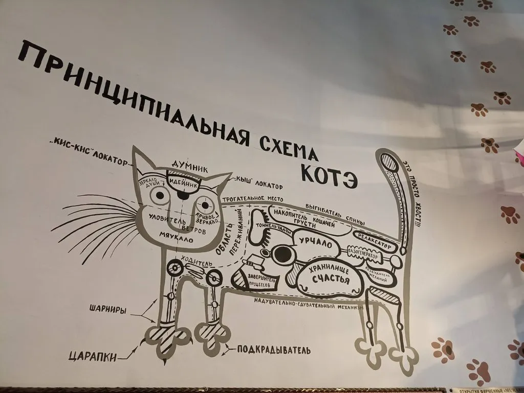 Калининградская область (не только море и янтарь) 