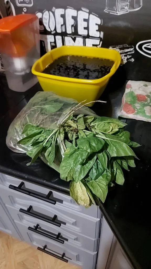 Чайная беседка