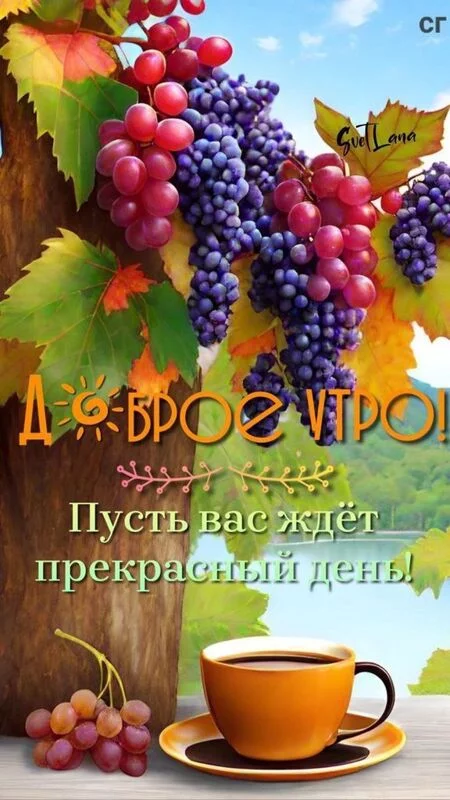 Кафе "У пани Сони"