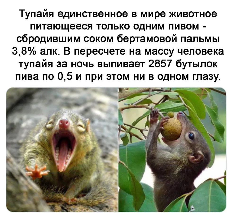 Это интересно!