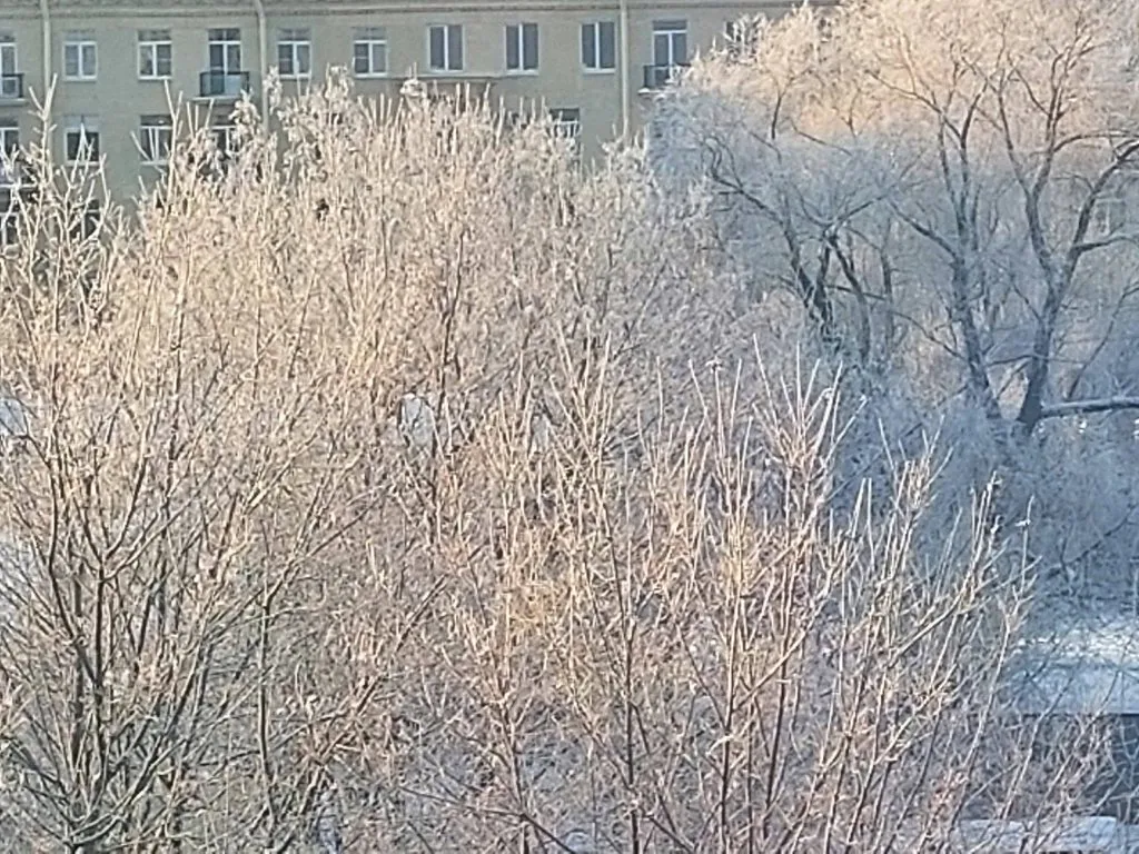 Такое разное небо