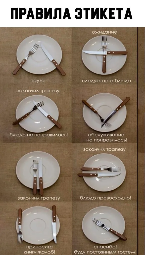 Домашняя инфографика