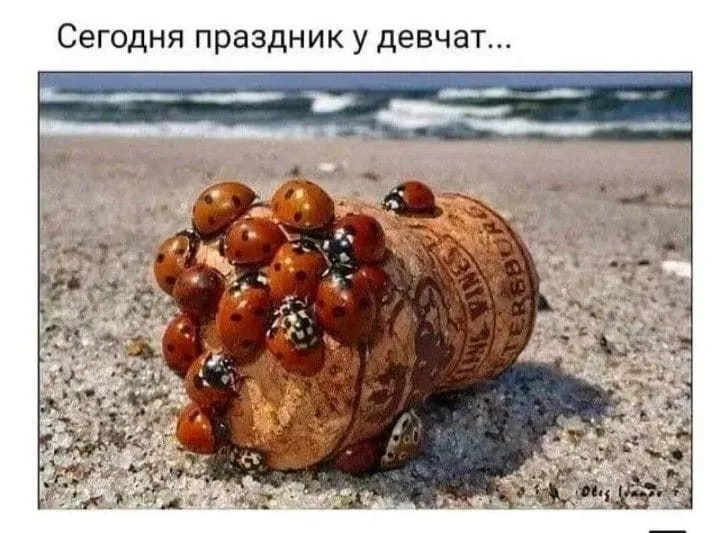 Tapтaлeтки & Ко