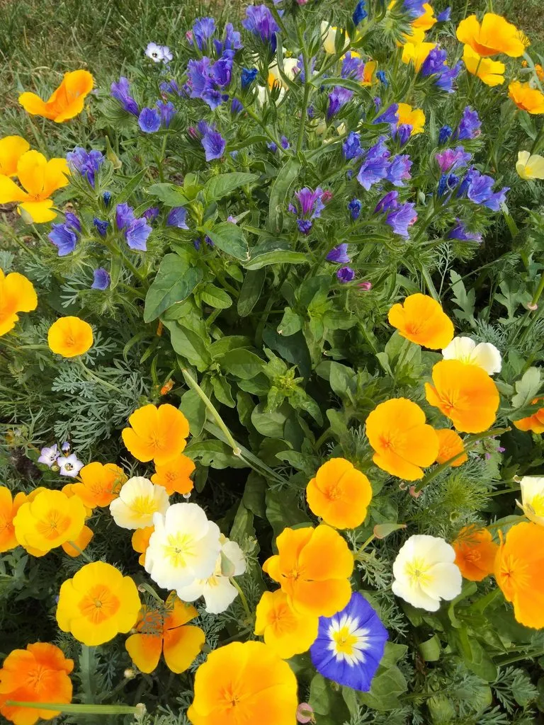 Чайная беседка