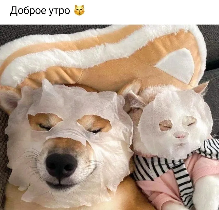 Кафе «У пани Сони»