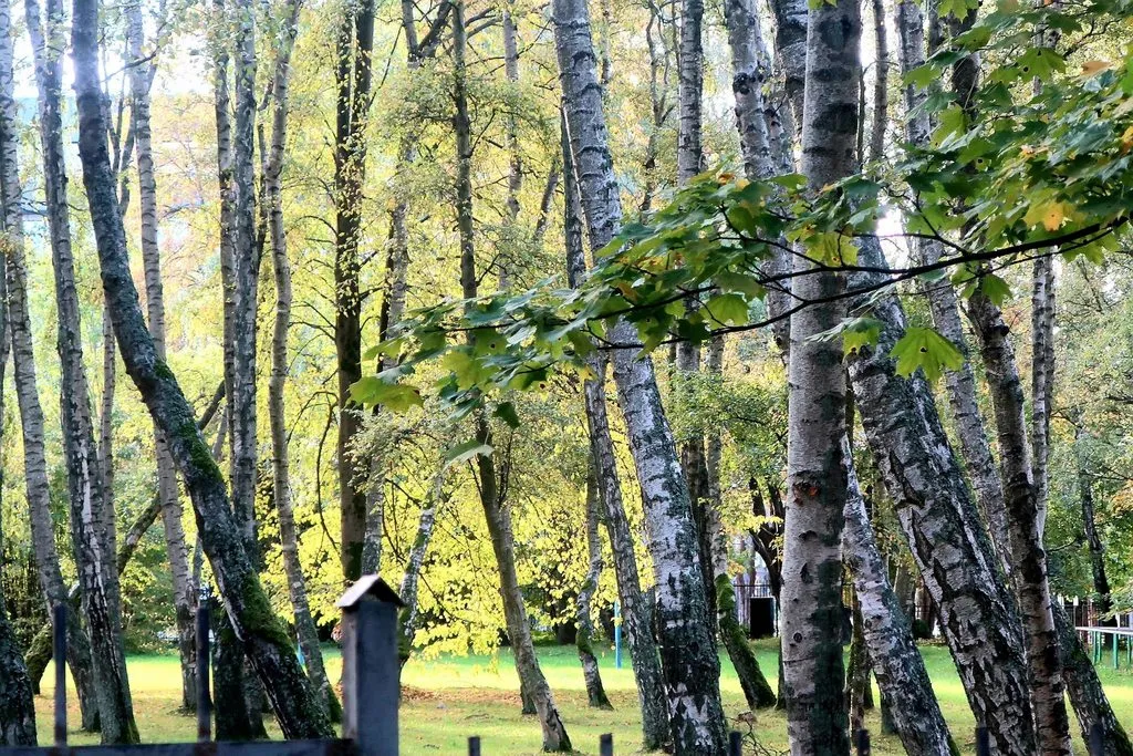 И снова, через год, встречай, Калининград!