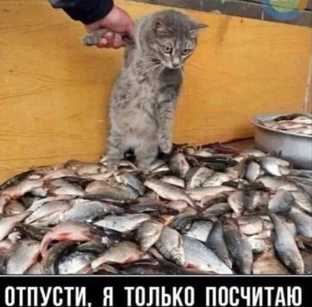 Посмеялся сам - поделись с другом!!!