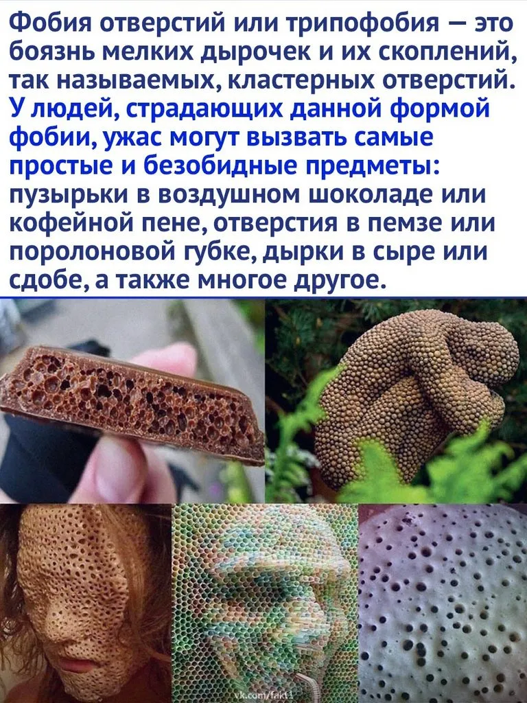 Это интересно!