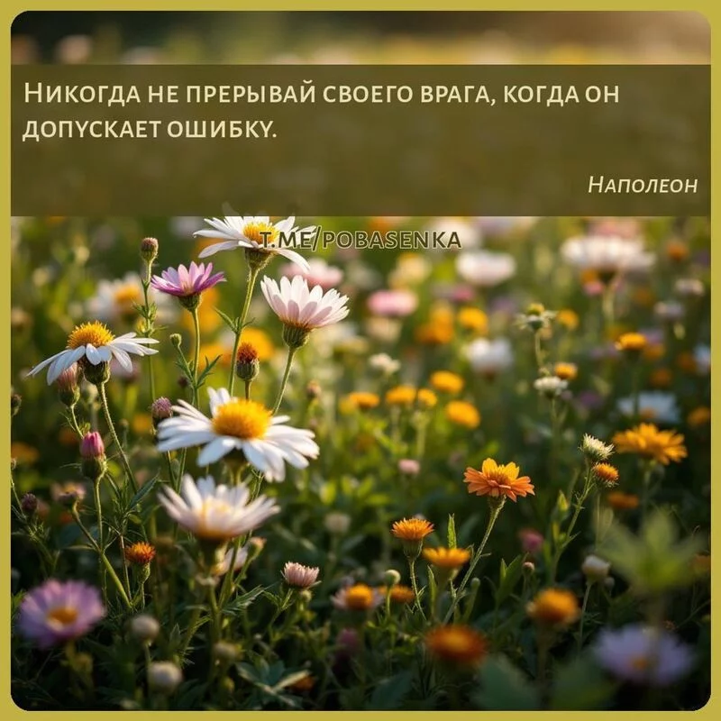«Никогда не прерывай своего врага, когда он допускает...» height="550" width="550"