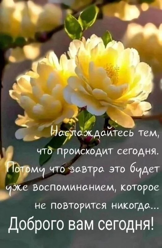 Кафе "У пани Сони"
