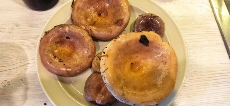 По грибы с лукошком
