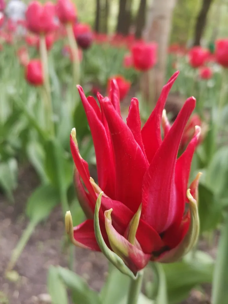 Выходные в Питере, или Куда сходить с друзьями в Санкт-Петербурге