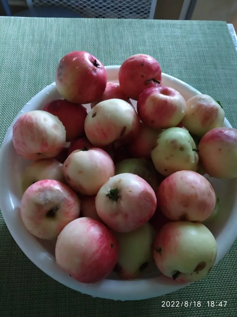 Чайная беседка