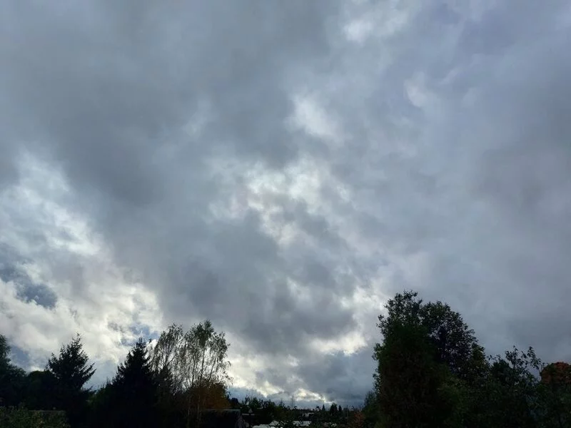 Такое разное небо